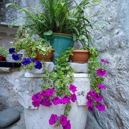 شقة Manor House Aman Komiža